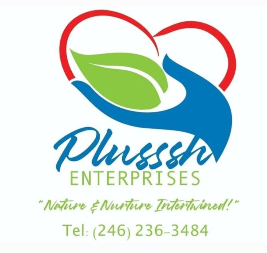 Plusssh Enterprises